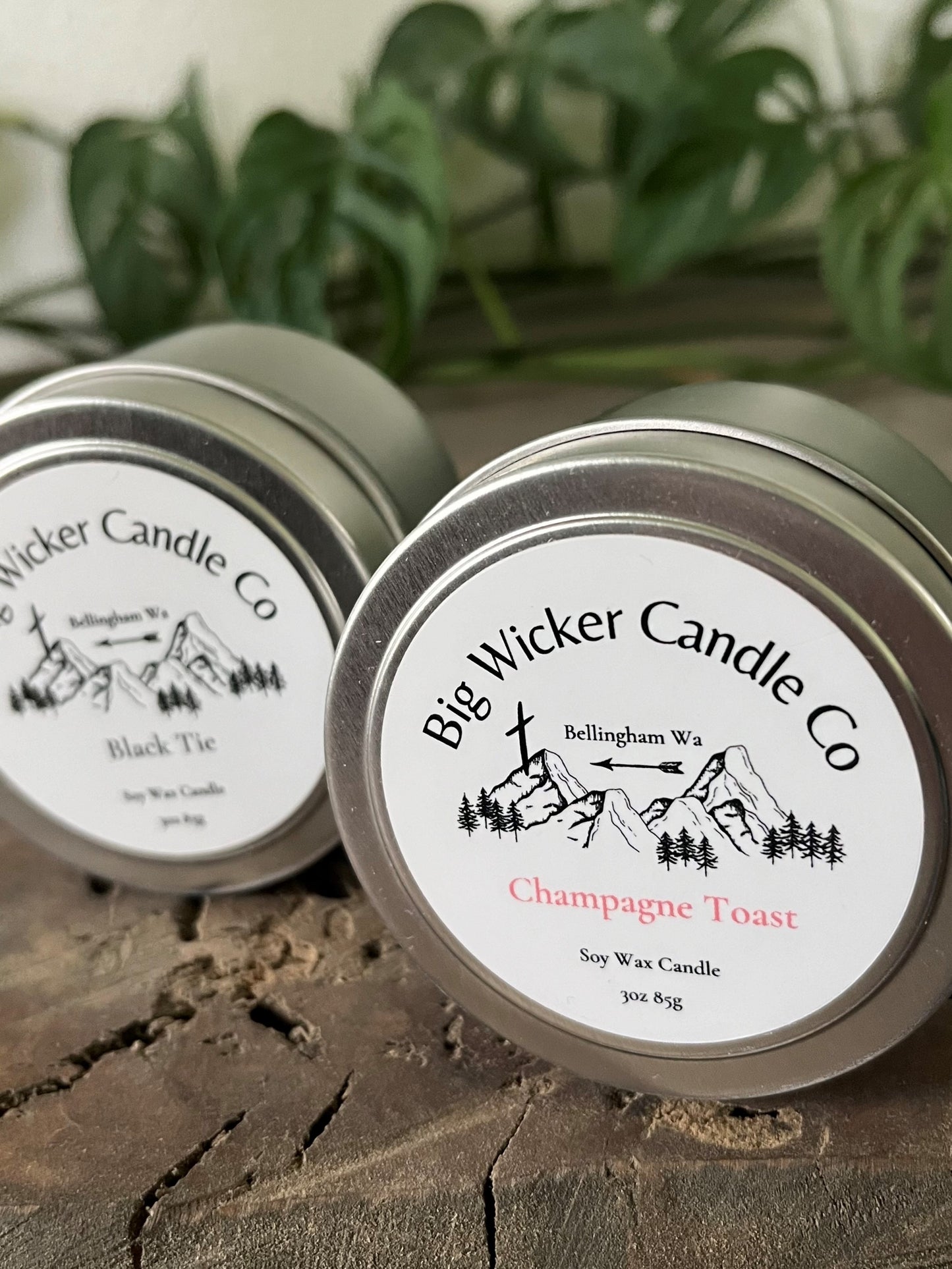 Champagne Toast mini